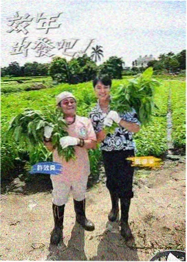 国产精品综艺在线观看慢食记